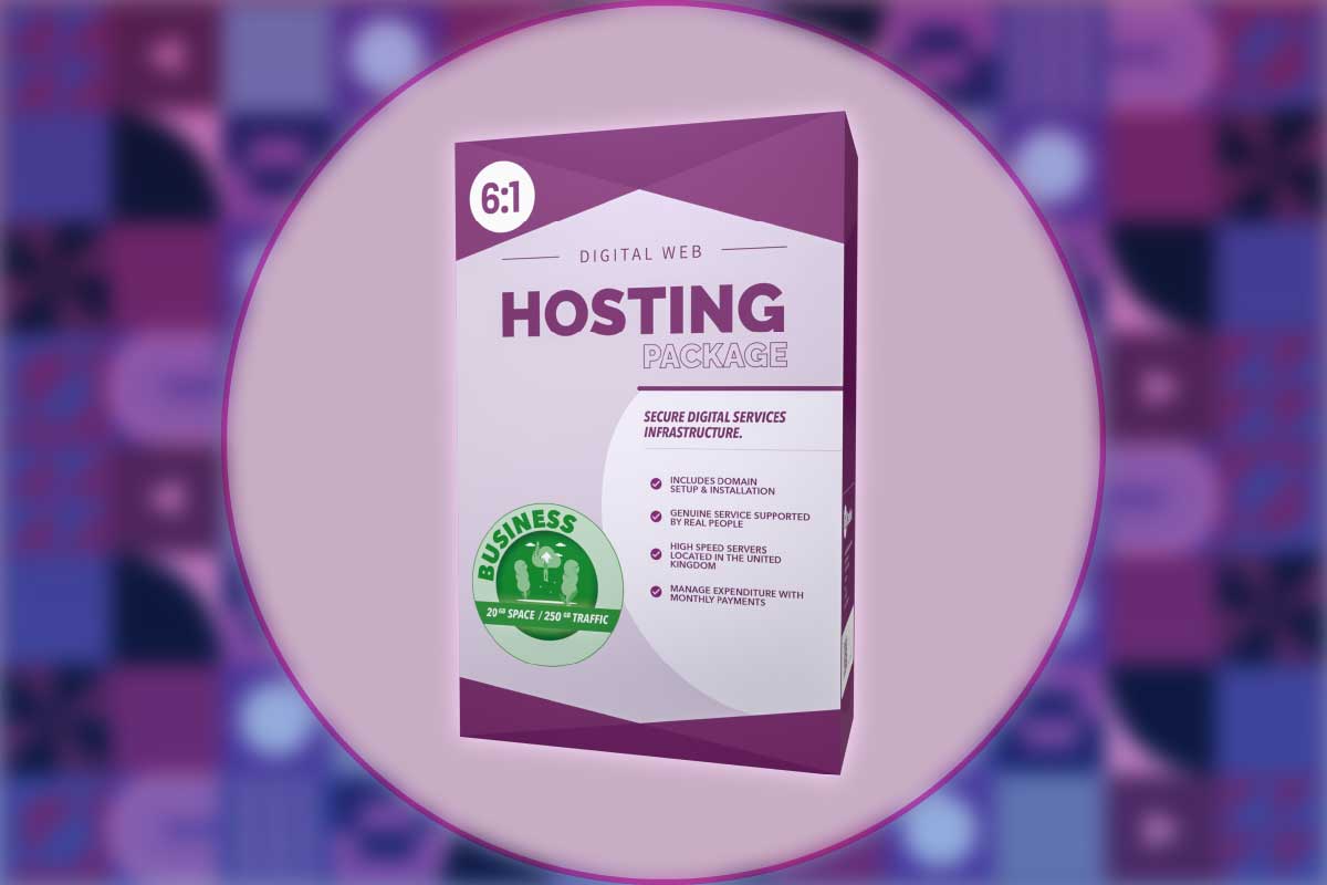 Business Web Hosting Package
